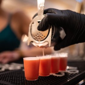 DrinkParty - Usługi Barmańskie