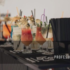 DrinkParty - Usługi Barmańskie